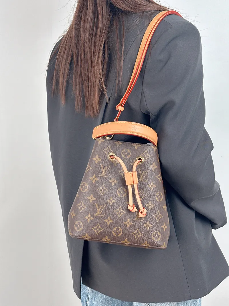 Louis Vuitton Crossbody Bag NÉONOÉ Bucket Bag BB Monogram PVC BB 20 × 13 × 20 cm — on-model view 3 of 3