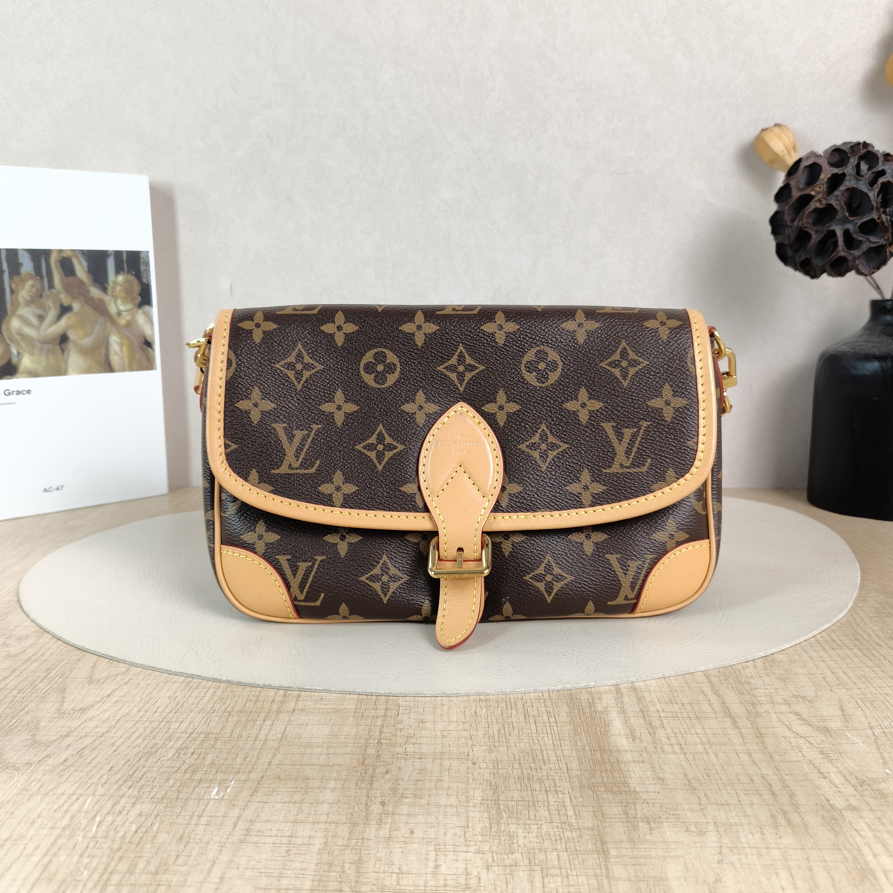 Louis Vuitton Crossbody Bag Diane Baguette Bag Shoulder Strap PVC Small24 × 9 × 15 cm