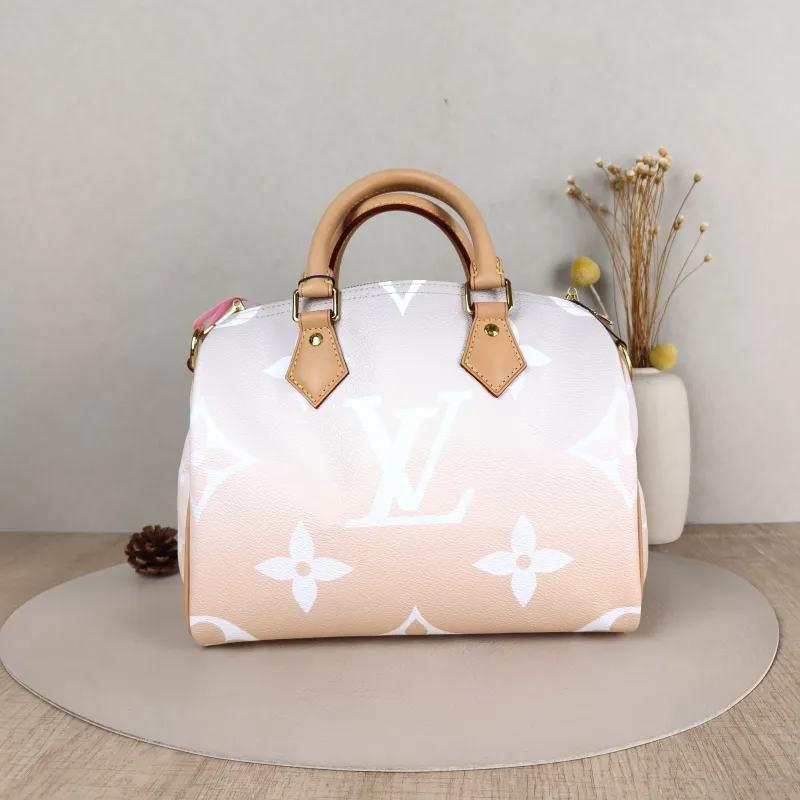 Louis Vuitton Top Handle Bag Speedy25 PVC One Size 25 × 15 × 19 cm — cover view 5 of 5