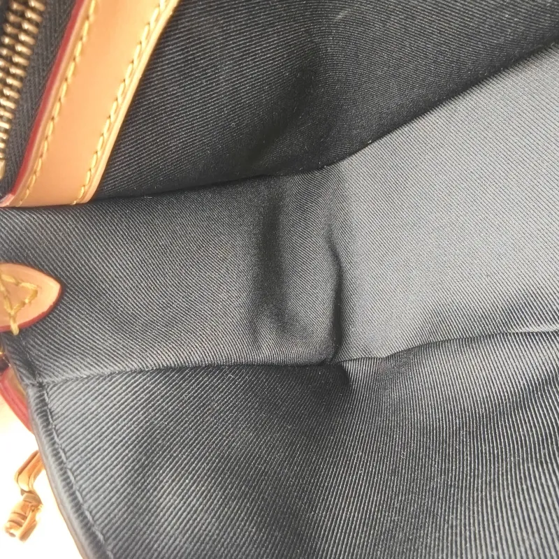 Louis Vuitton Crossbody Bag Diane Baguette Bag Shoulder Strap PVC Small 24 × 9 × 15 cm — detail view 3 of 15