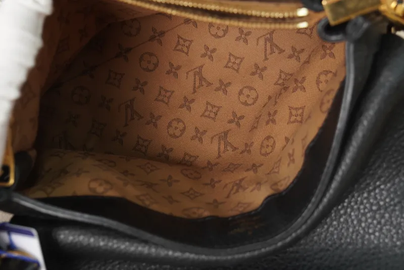 Louis Vuitton Dauphine Soft Medium Black Calfskin Microchip Edition · 24 × 9 × 17 cm — detail view 6 of 19