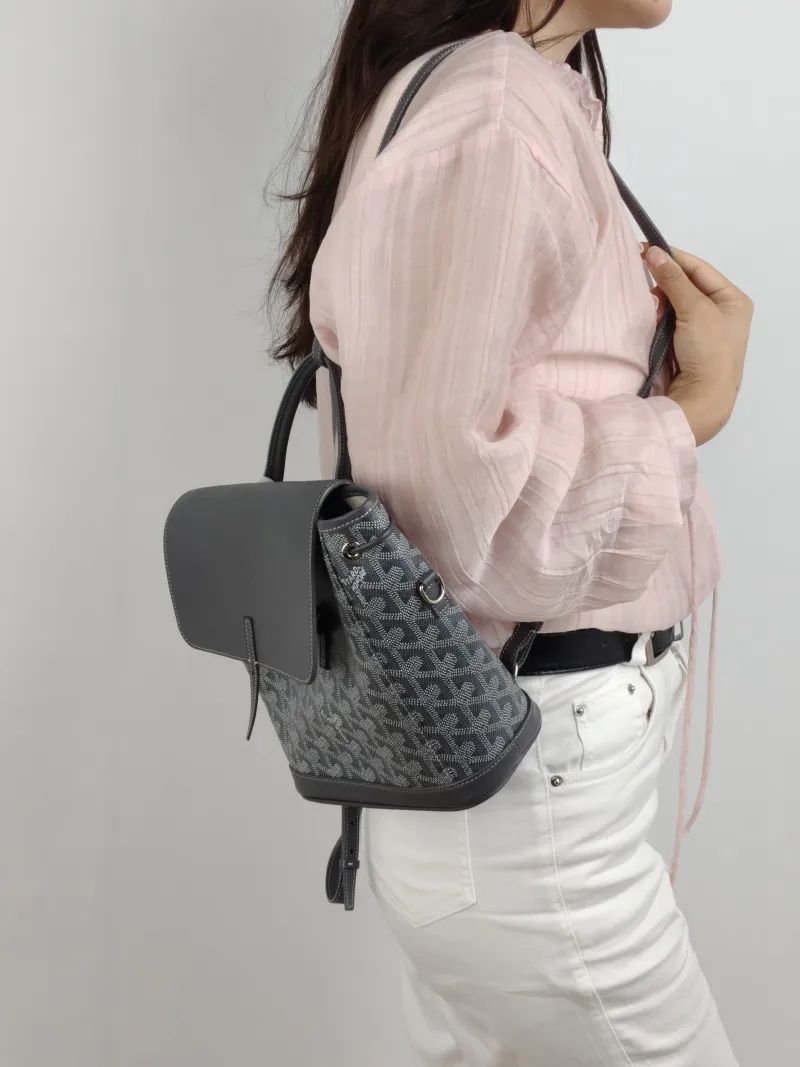 GOYARD Crossbody Bag ALPIN Backpack Grey PVC Mini 19 × 9.5 × 23 cm — on-model view 2 of 3