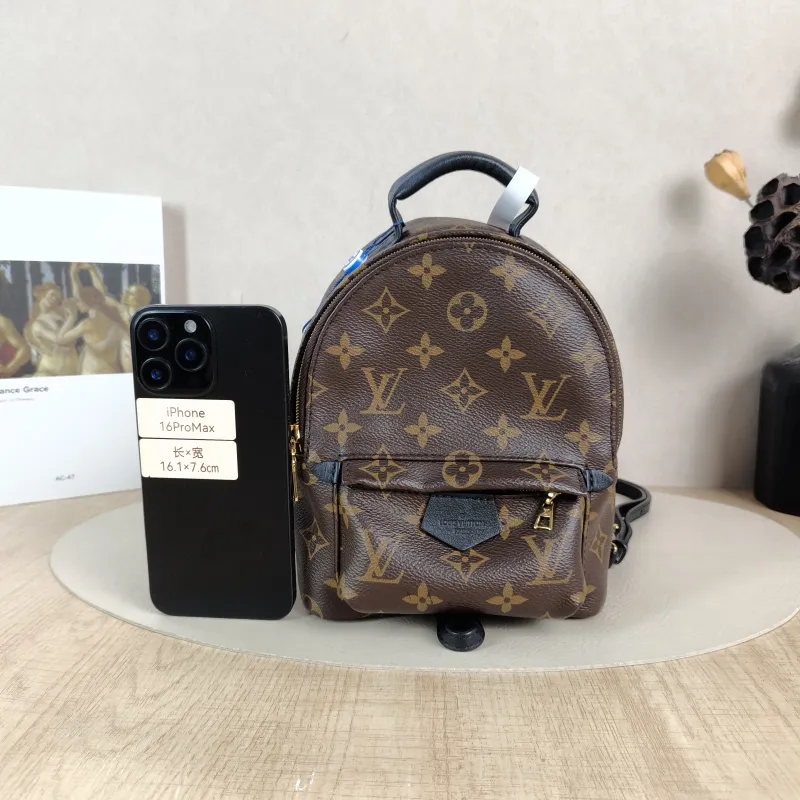 Louis Vuitton Backpack Palm Springs Backpack Monogram PV Cmini17 × 10 × 22 cm — cover view 4 of 5