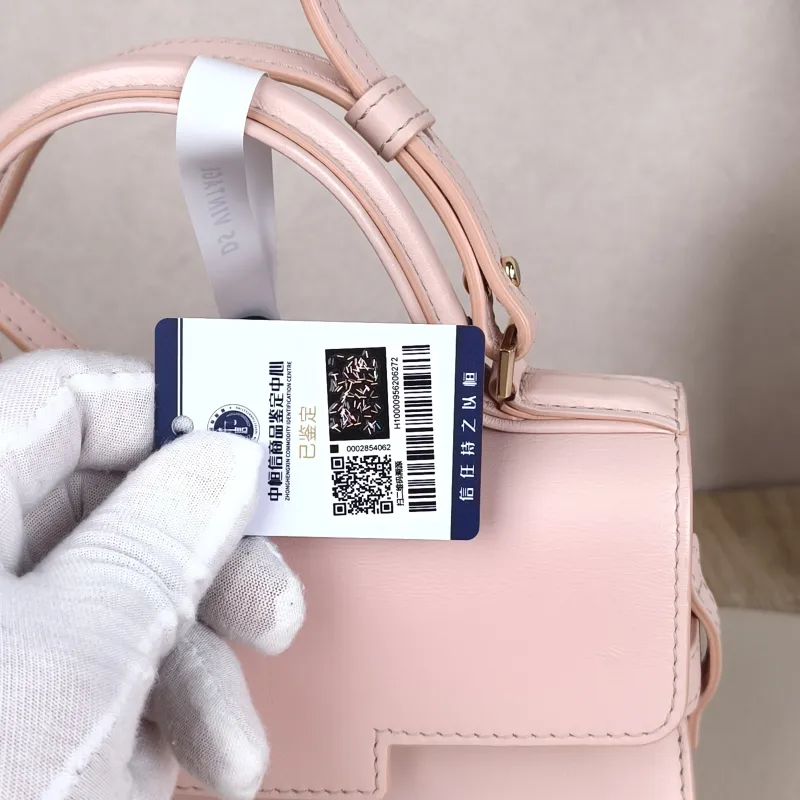 DELVAUX Top Handle Bag Tempete Top Handle Bag Pink Calfskin Small21.5 × 8.5 × 19.5 cm — detail view 7 of 11