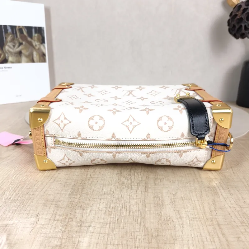 Louis Vuitton Crossbody Bag Side Trunk Box · Black PVC Medium 23.5 × 8.5 × 16 cm — detail view 3 of 11