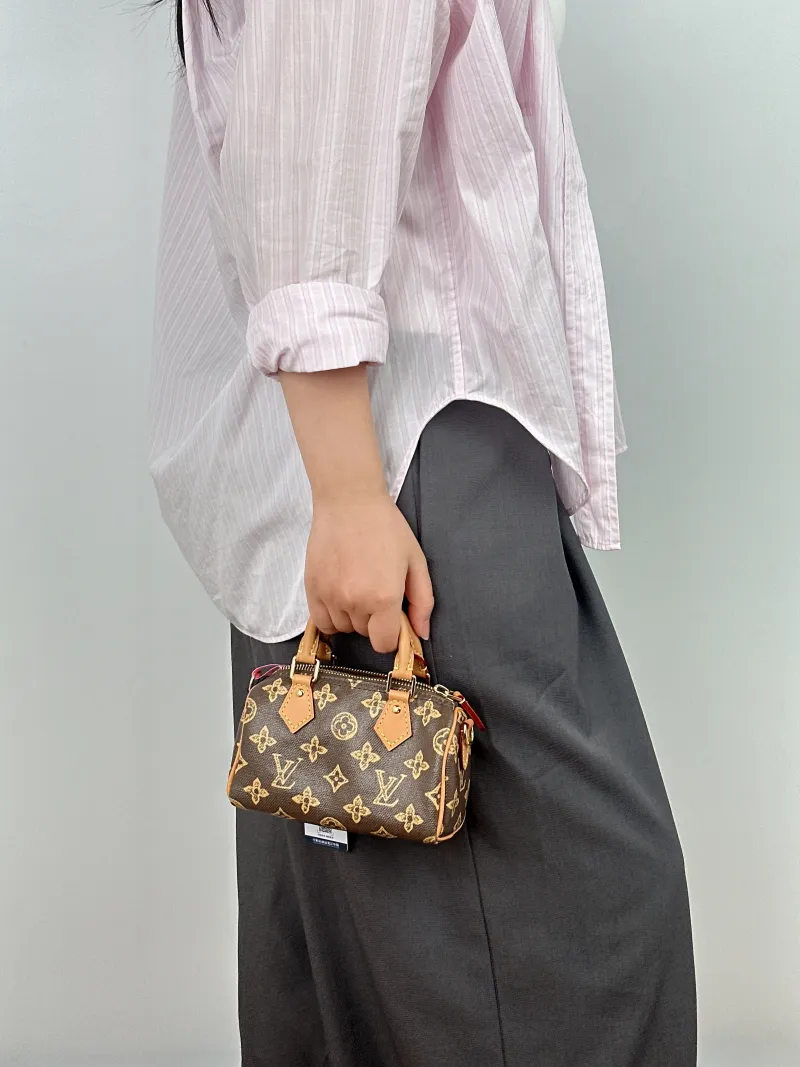 Louis Vuitton Crossbody Bag Speedy Nano PVC nano 16 × 7.5 × 10 cm — on-model view 2 of 2