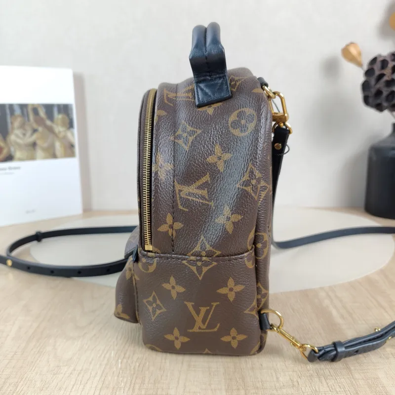 Louis Vuitton Backpack Palm Springs Backpack Monogram PV Cmini17 × 10 × 22 cm — detail view 2 of 10