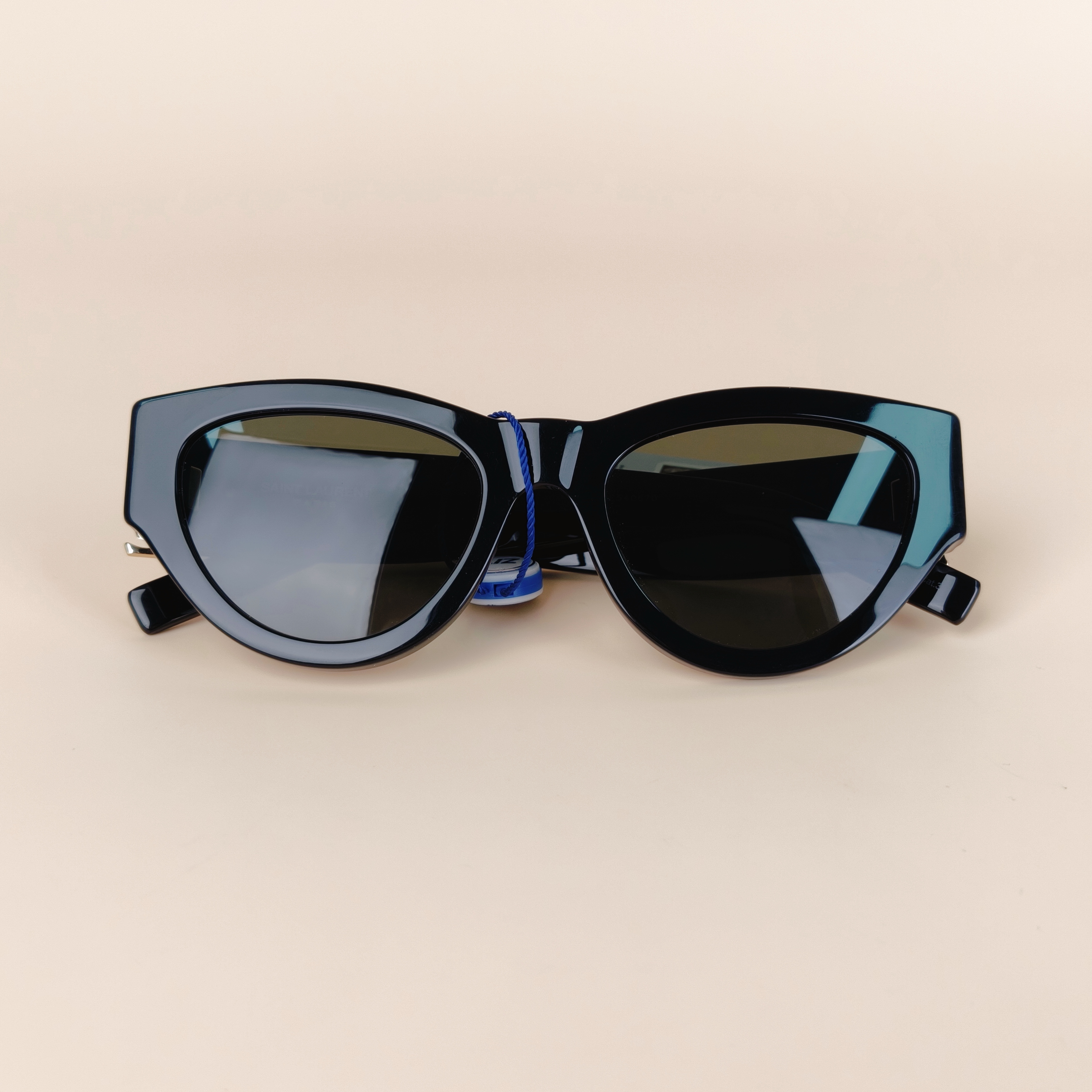 SAINT LAURENT Eyewear Eyewear Black One Size