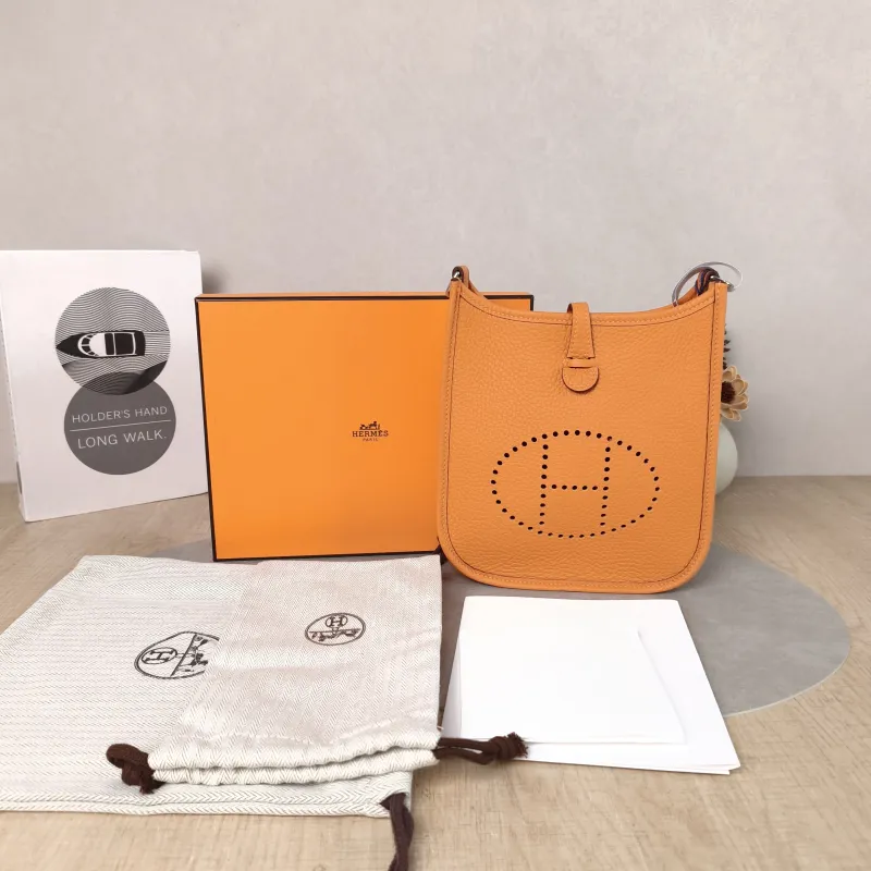 Hermès Crossbody Bag Evelyne Mini 16 Mini 16 TC Calfskin Mini 17 × 5.5 × 18 cm G — cover view 6 of 6