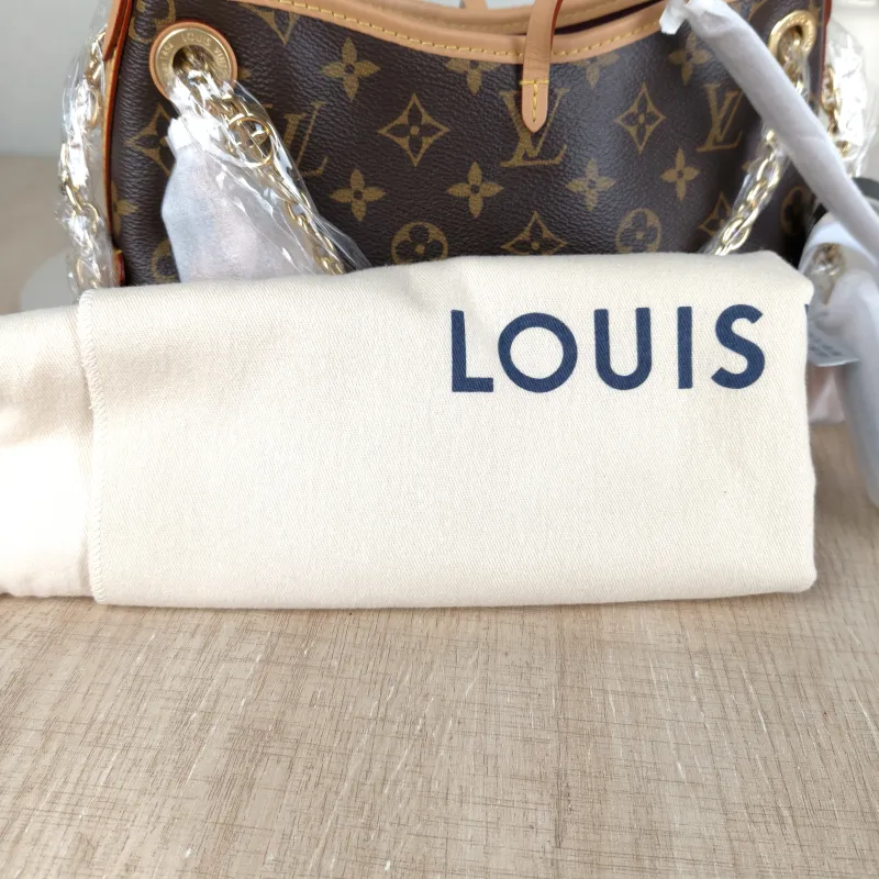 Louis Vuitton Crossbody Bag Carryall BB Monogram PVCBB26 × 10 × 17 cm — detail view 11 of 13