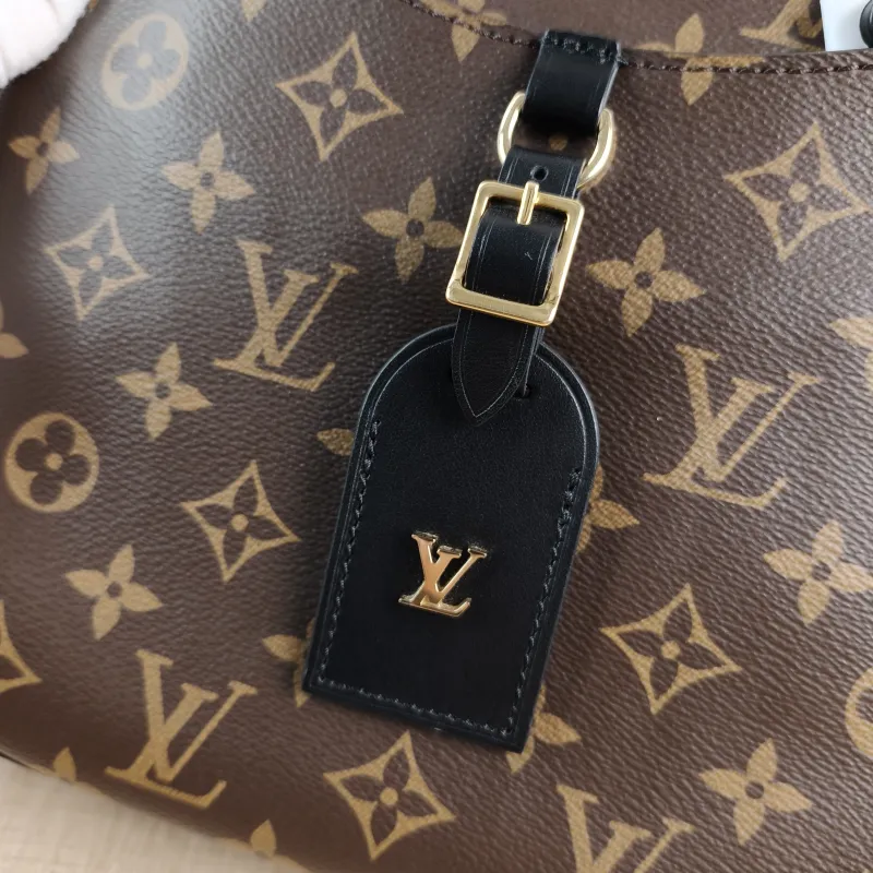 Louis Vuitton Crossbody Bag ODEON Monogram PVC Small 24 × 8 × 22 cm — detail view 9 of 14