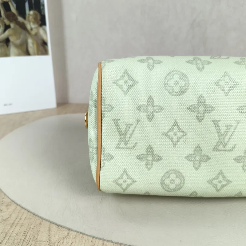 Louis Vuitton Shoulder Bag Speedy20 PVC Small 20.5 × 12 × 13.5 cm — detail view 11 of 12