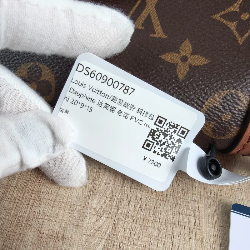 Louis Vuitton Crossbody Bag Dauphine Monogram PVC Mini 20 × 9 × 15 cm — detail view 2 of 13