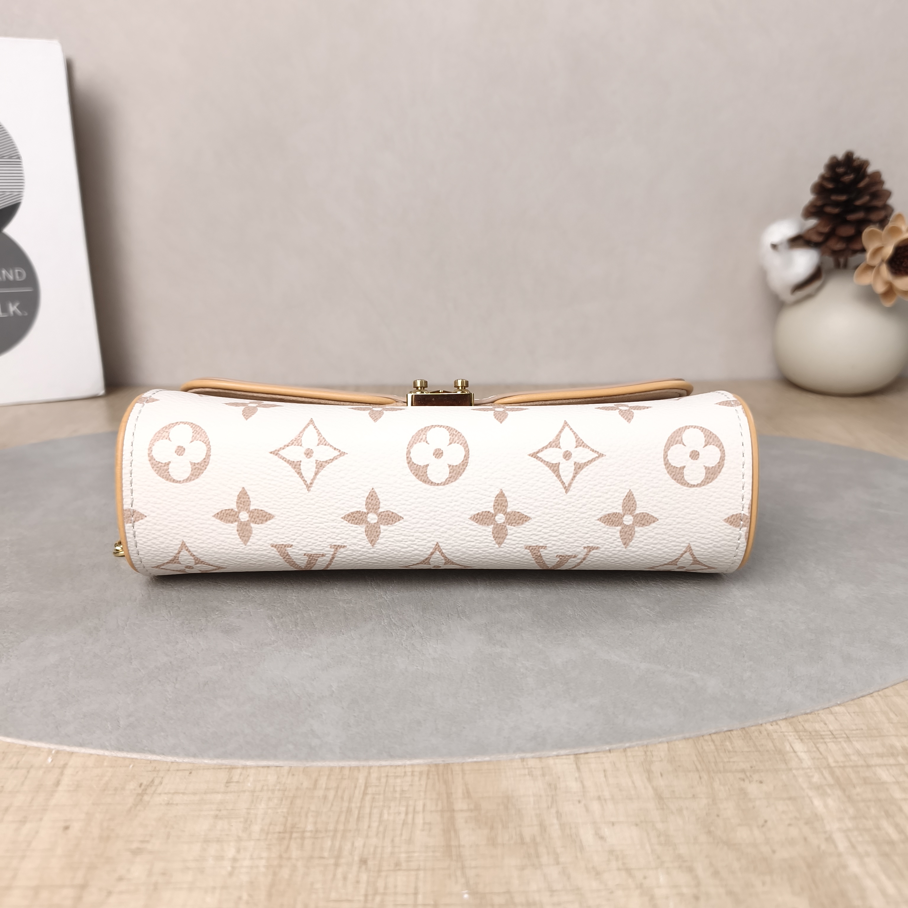 Louis Vuitton Crossbody Bag POCHETTE CAMILLE PVC One Size20.5 × 6 × 11 cm — cover view 3 of 5