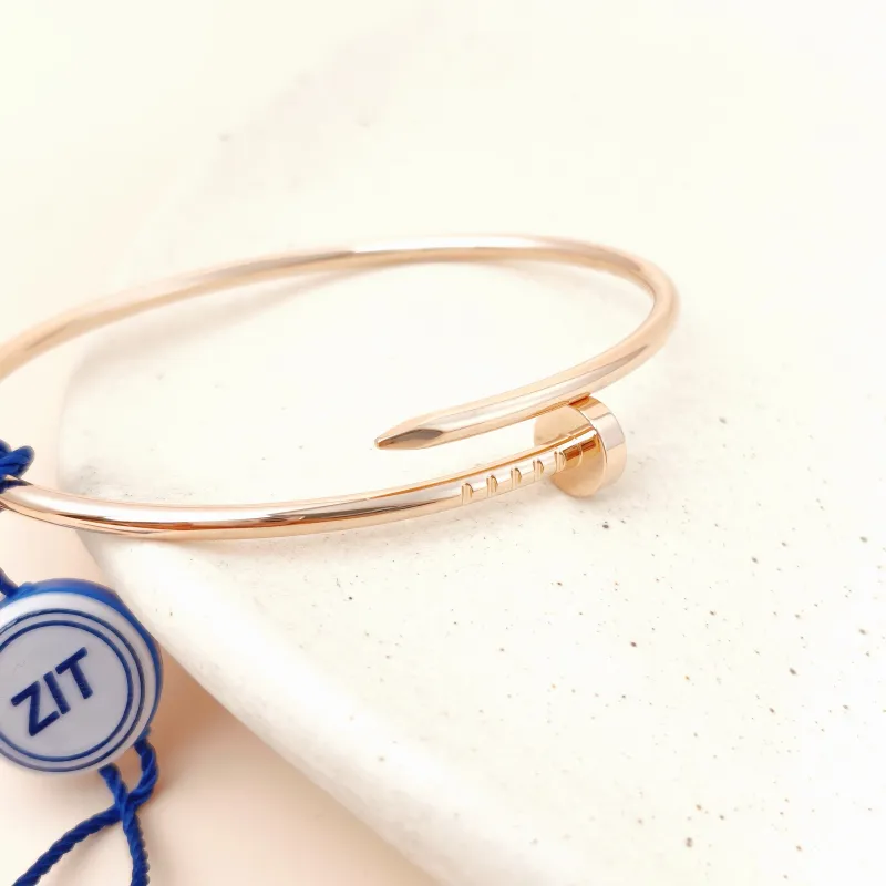 CARTIER Bangle Juste un Clou Bangle Rose Gold 18KR ose Gold Small 17 — cover view 7 of 8