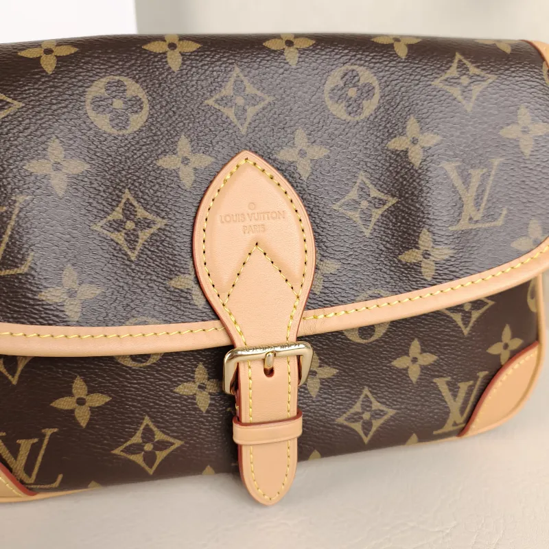 Louis Vuitton Crossbody Bag Diane Baguette Bag Shoulder Strap PVC Small 24 × 9 × 15 cm — detail view 2 of 12