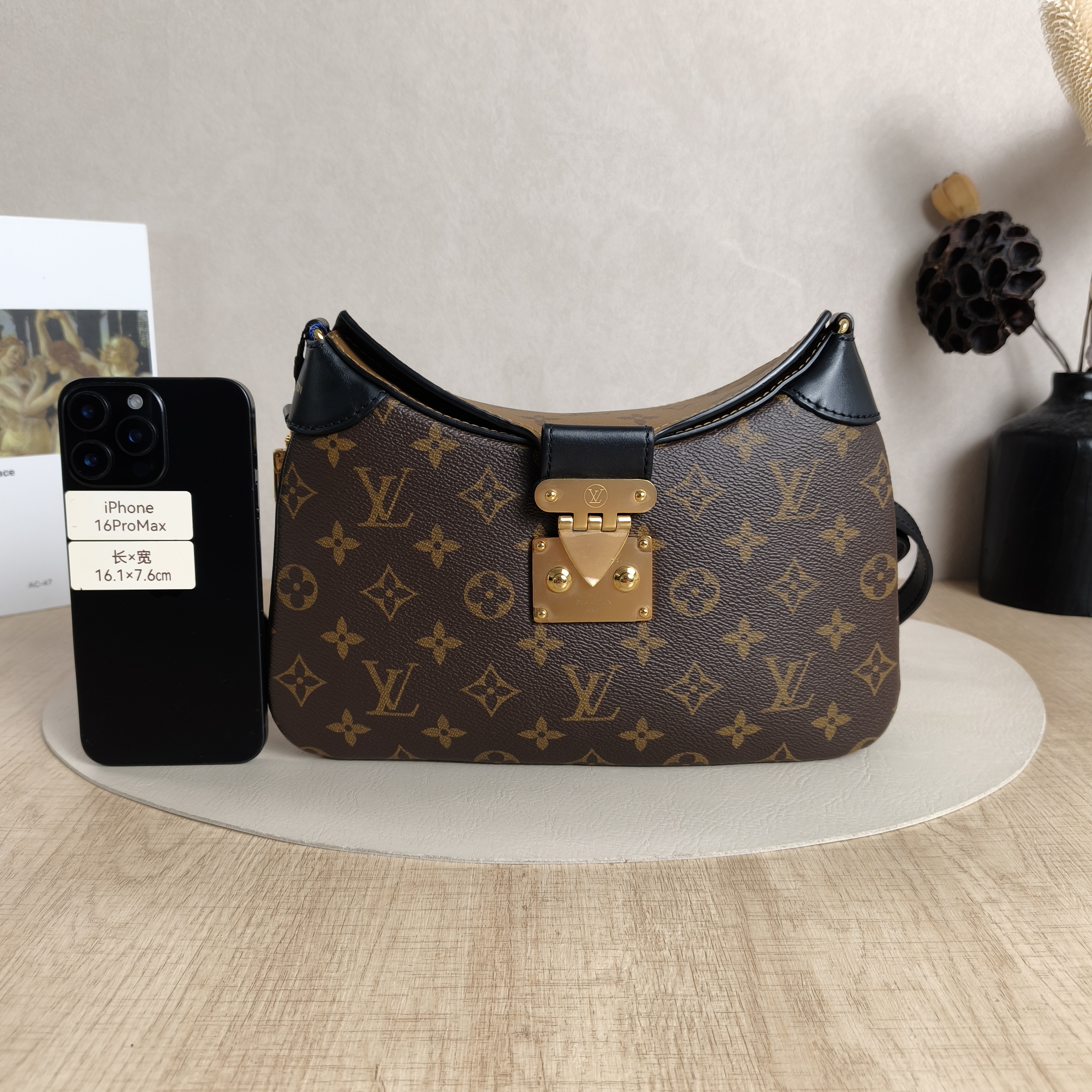Louis Vuitton Crossbody Bag Twinny Monogram PVC29 × 9 × 19 cm — cover view 10 of 10
