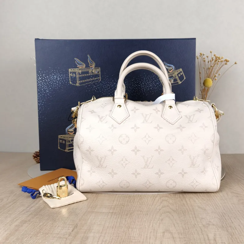 Louis Vuitton Bag — cover view 5 of 6