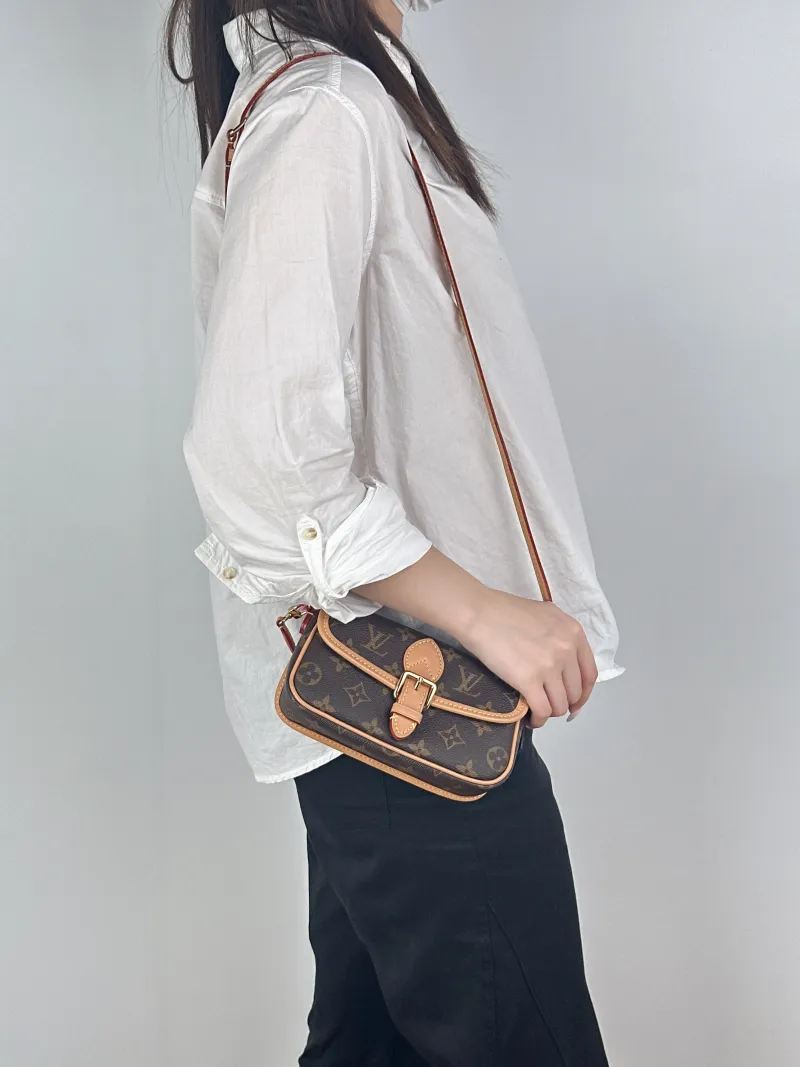 Louis Vuitton Crossbody Bag Diane Baguette Bag Monogram PV Cnano19 × 6 × 10.5 cm — on-model view 3 of 3