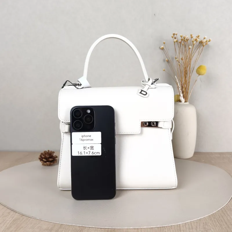 DELVAUX Top Handle Bag Tempete Top Handle Bag White Calfskin Small 21.5 × 8.5 × 19.5 cm — cover view 5 of 5
