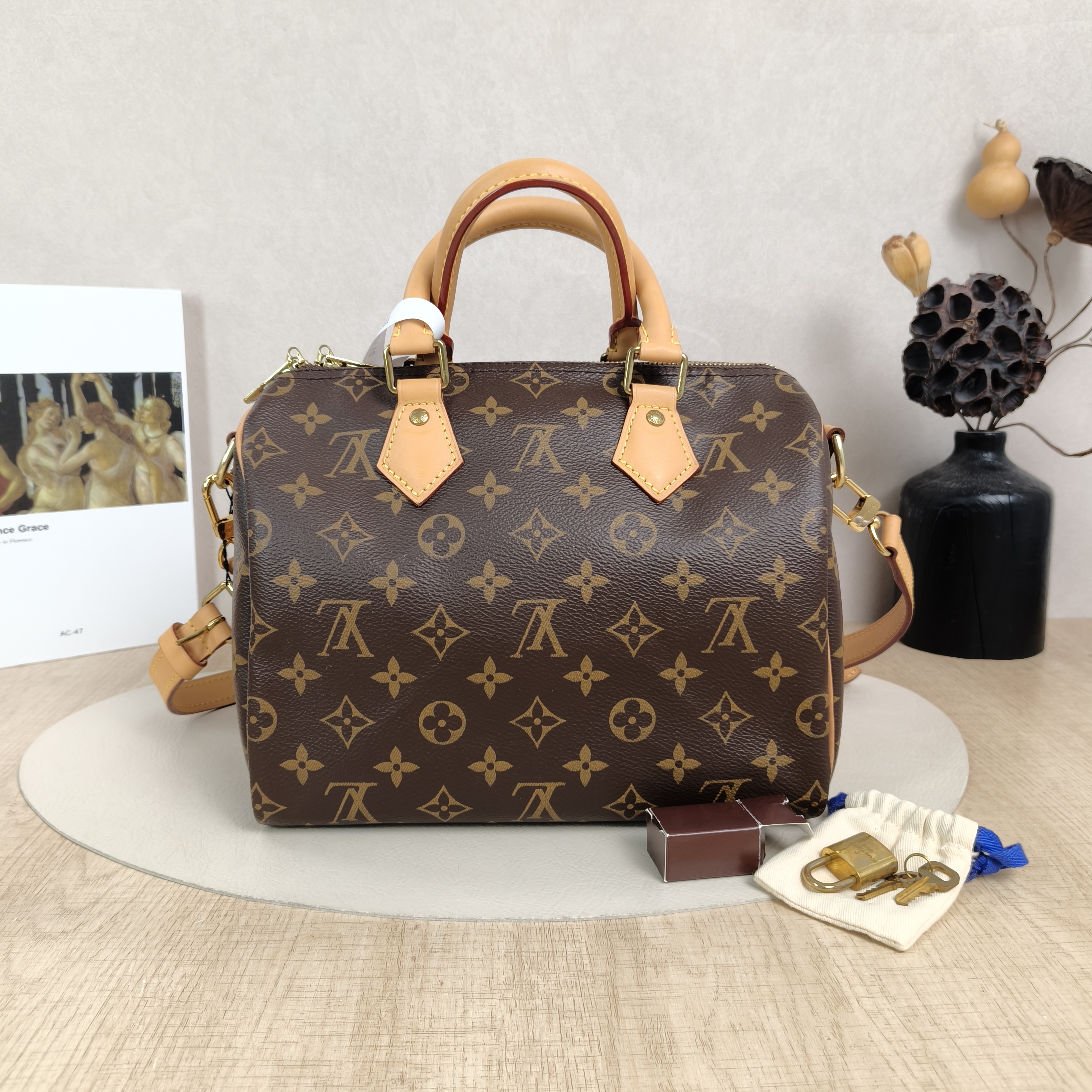 Louis Vuitton Crossbody Bag Speedy25Shoulder Strap Edition-Monogram PVC Medium25 × 15 × 19 cm Conditioned
