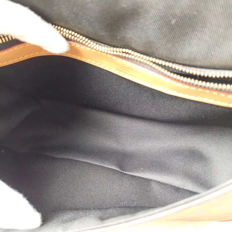 Louis Vuitton Crossbody Bag Diane Baguette Bag Shoulder Strap PVC Small 24 × 9 × 15 cm — detail view 9 of 13