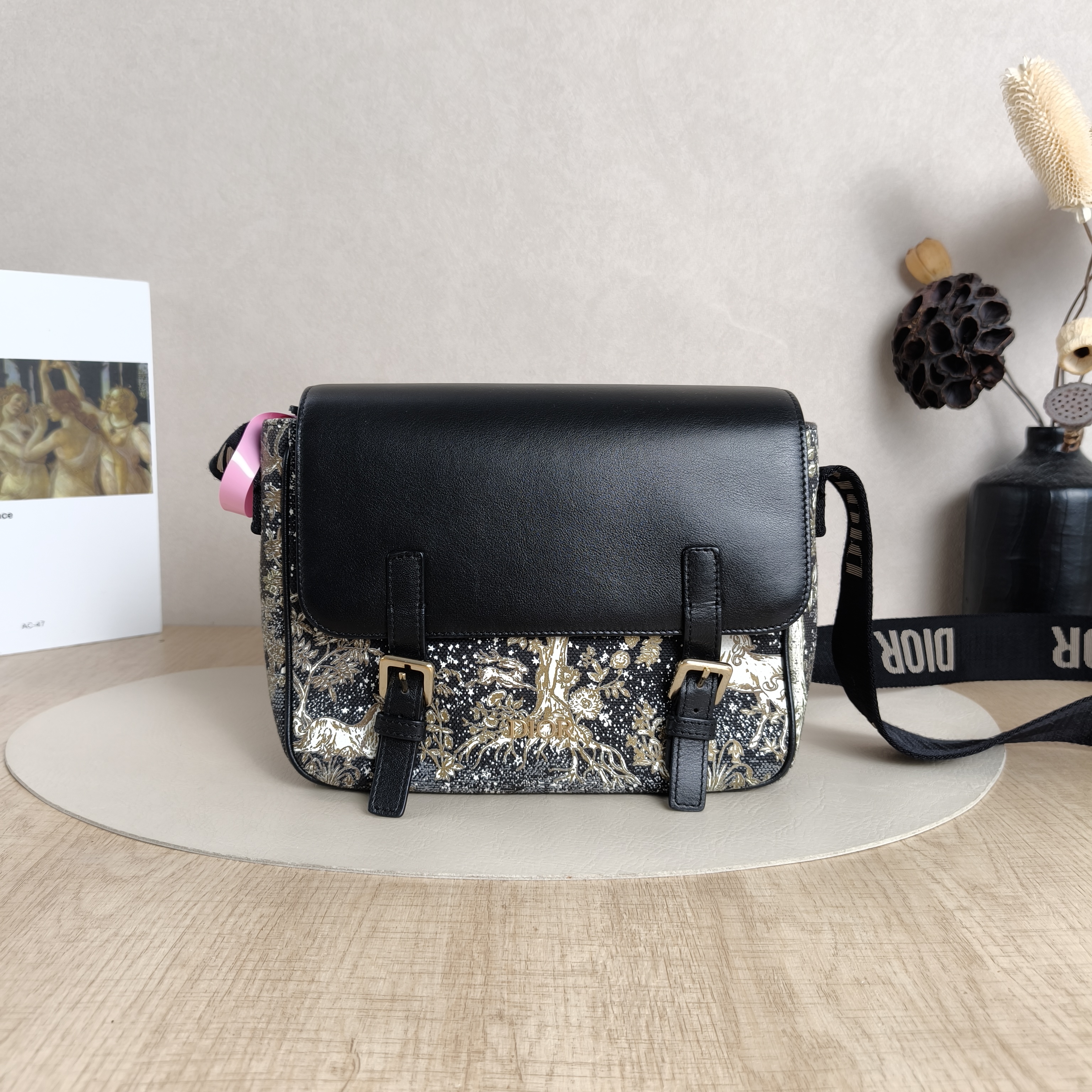 DIOR Crossbody Bag camp Messenger Bag Black Canvas Small23 × 8 × 15 cm