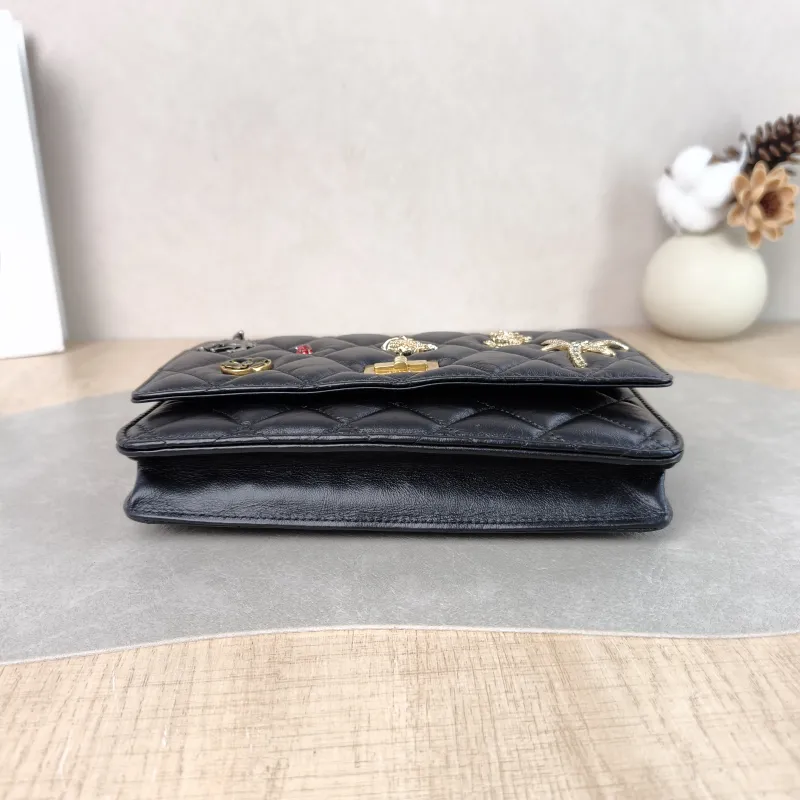 Chanel Crossbody Bag Edition2.55 woc Black Calfskin Mini 19.2 × 3.5 × 12.3 cm 24 — cover view 4 of 5