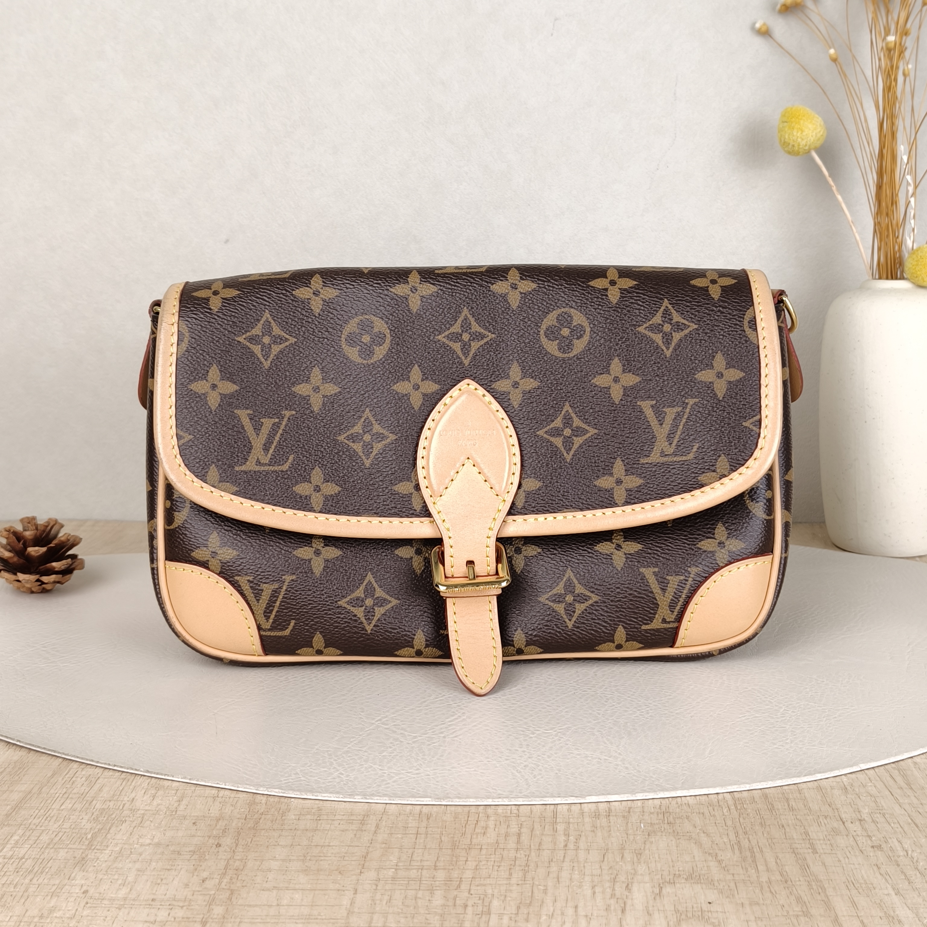 Louis Vuitton Crossbody Bag Diane Baguette Bag Monogram Shoulder Strap PVC Small24 × 9 × 15 cm