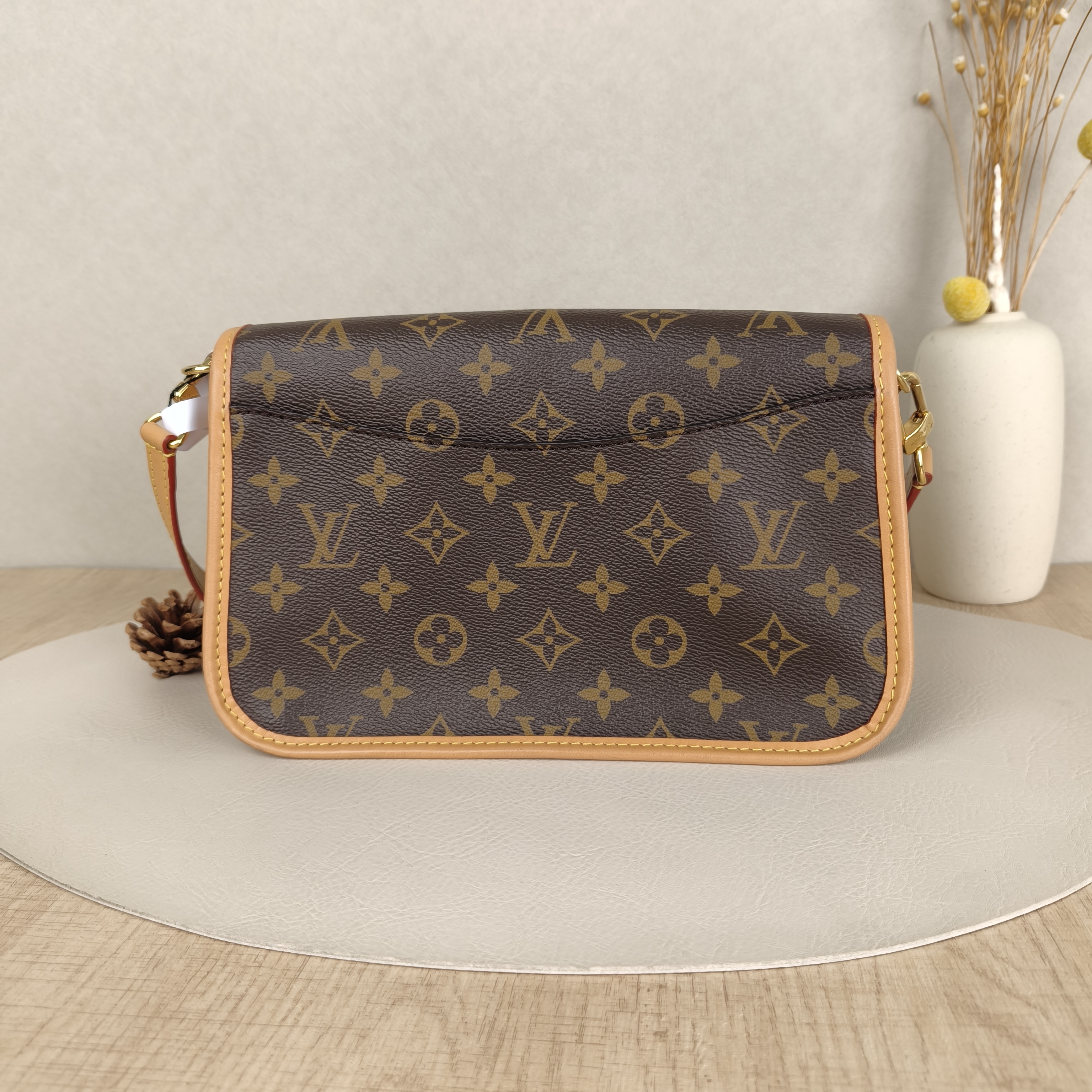 Louis Vuitton Crossbody Bag Diane Baguette Bag Shoulder Strap PVC Small24 × 9 × 15 cm — cover view 5 of 9