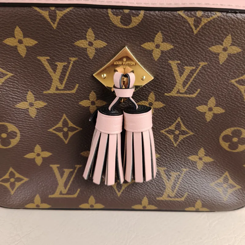 Louis Vuitton Crossbody Bag Saintonge Camera Bag Pink PVC Small 22 × 8 × 16 cm — detail view 9 of 10