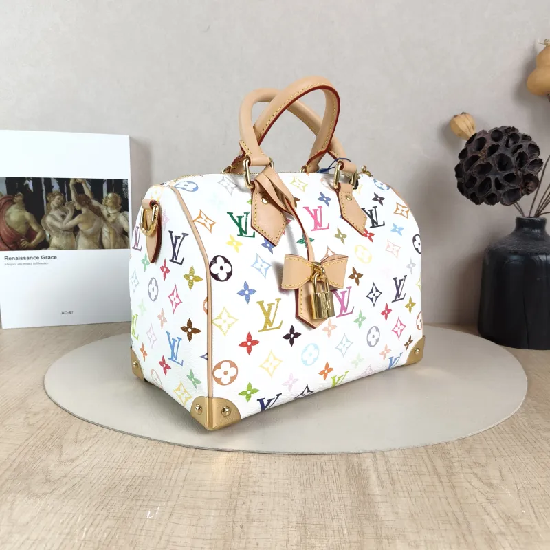Louis Vuitton Crossbody Bag Speedy25 Multicolore PVC Medium 25 × 15 × 19 cm — cover view 2 of 6