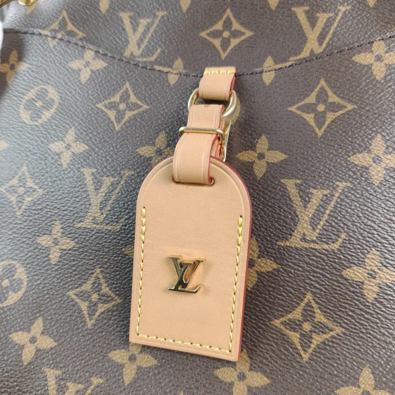 Louis Vuitton Crossbody Bag ODEON Monogram PVC Small24 × 8 × 22 cm — detail view 5 of 12