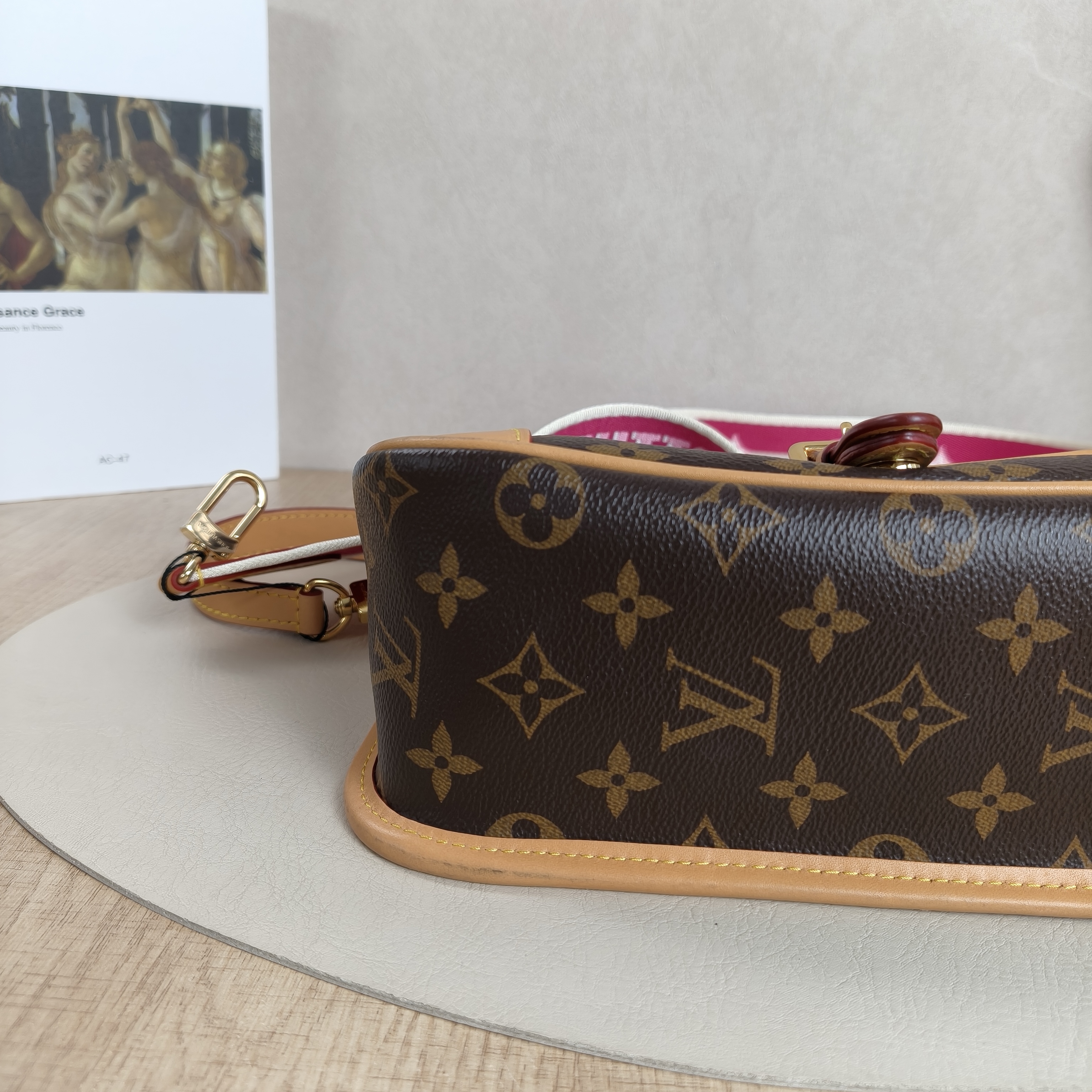 Louis Vuitton Crossbody Bag Diane Baguette Bag Shoulder Strap PVC Small24 × 9 × 15 cm — cover view 8 of 10