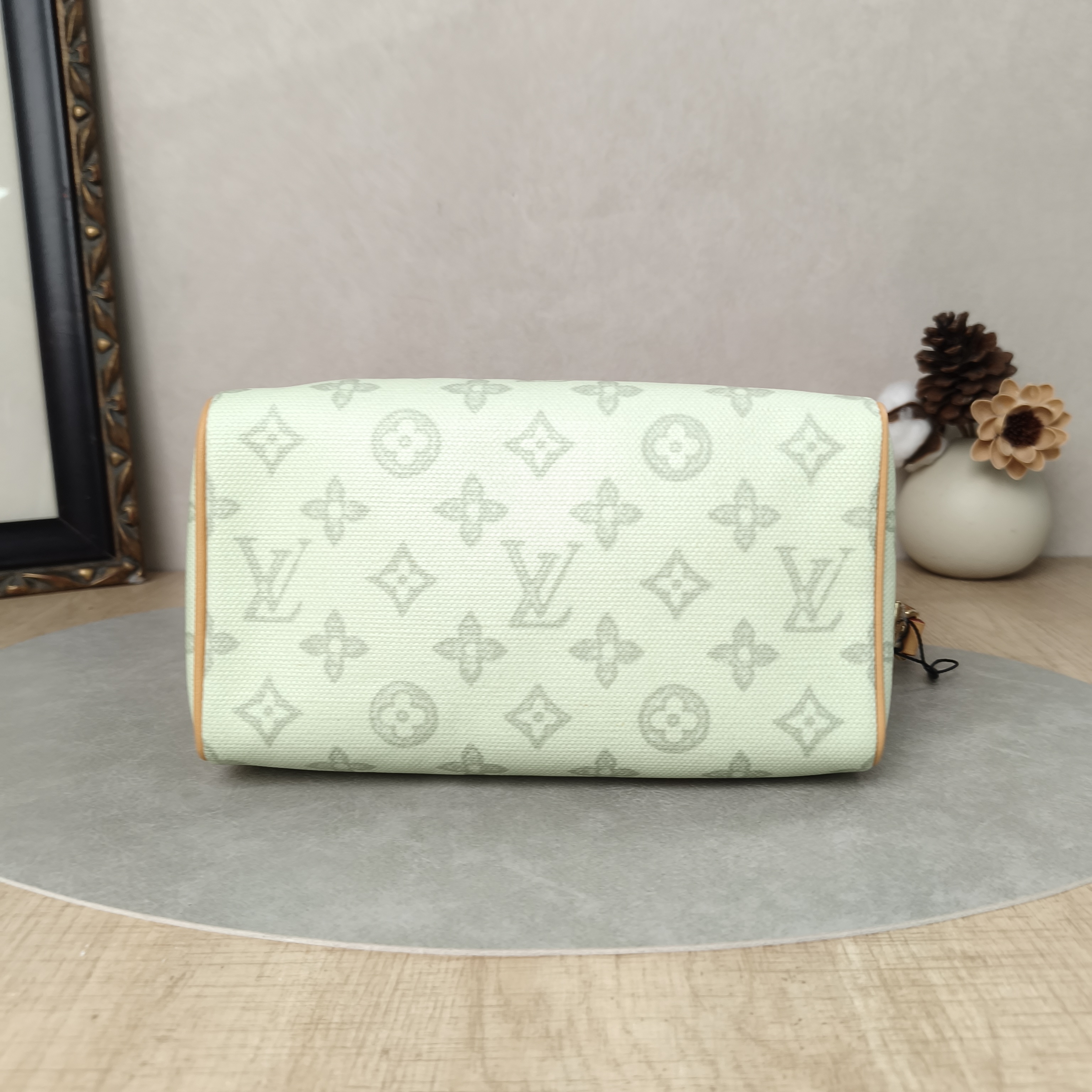 Louis Vuitton Shoulder Bag Speedy20 PVC Small20.5 × 12 × 13.5 cm — cover view 5 of 6