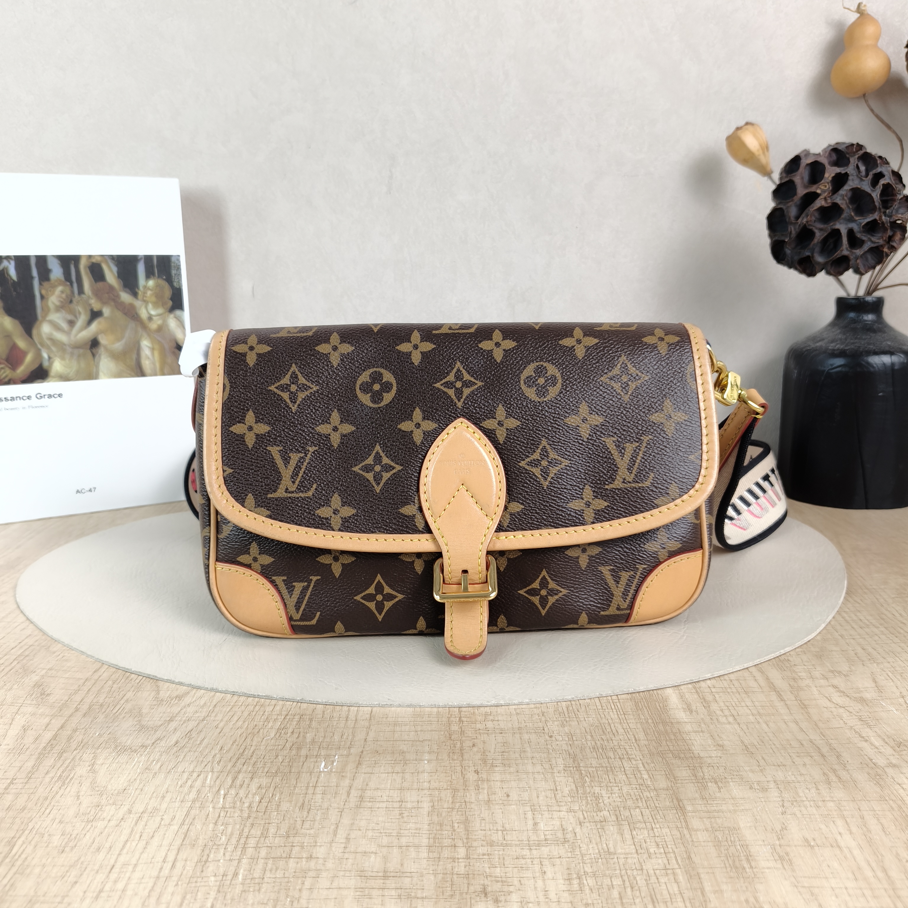 Louis Vuitton Crossbody Bag Diane Baguette Bag Shoulder Strap PVC Small24 × 9 × 15 cm