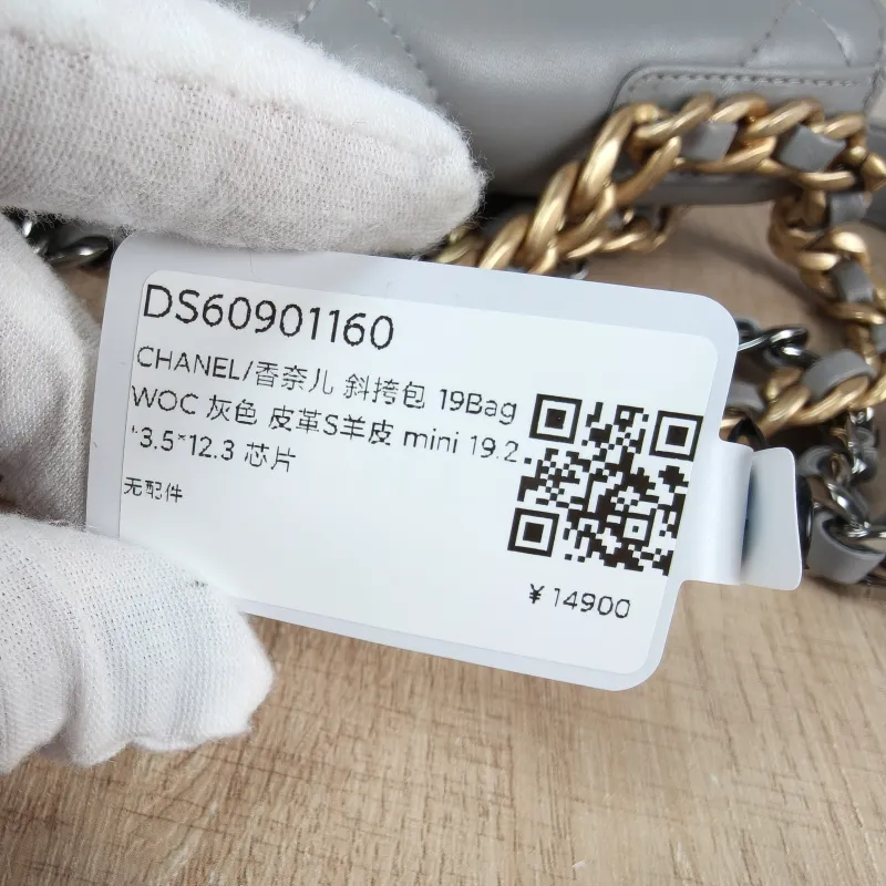 Chanel Crossbody Bag 19Bag WOC Grey SL ambskin Mini 19.2 × 3.5 × 12.3 cm — detail view 10 of 12