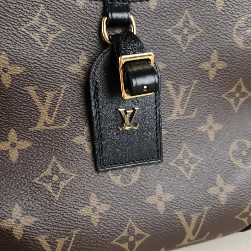 Louis Vuitton Crossbody Bag Monogram PVC Small 24 × 8 × 22 cm — detail view 5 of 11