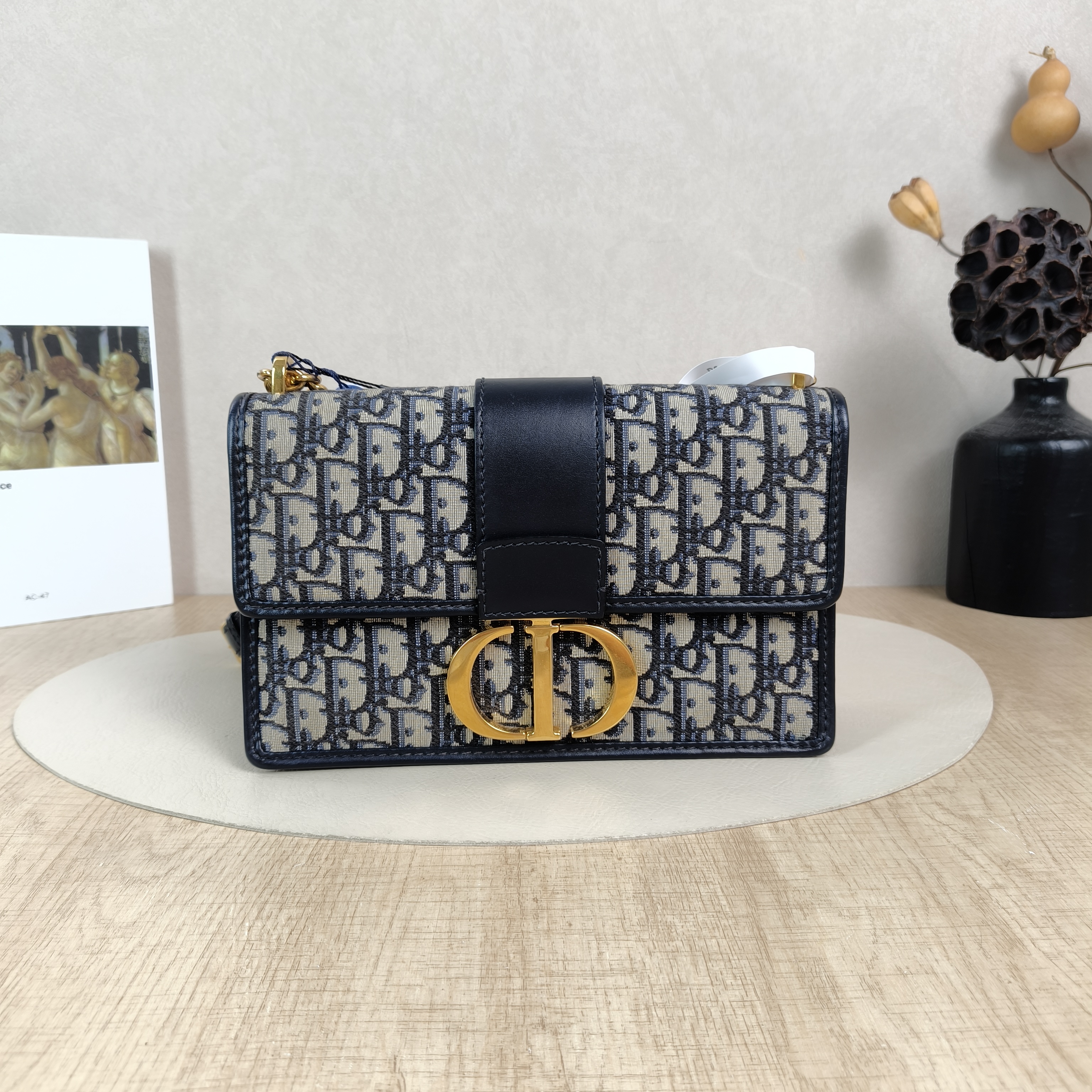 DIOR Crossbody Bag30Montaigne 30 Edition Canvas Medium25 × 9 × 16.5 cm