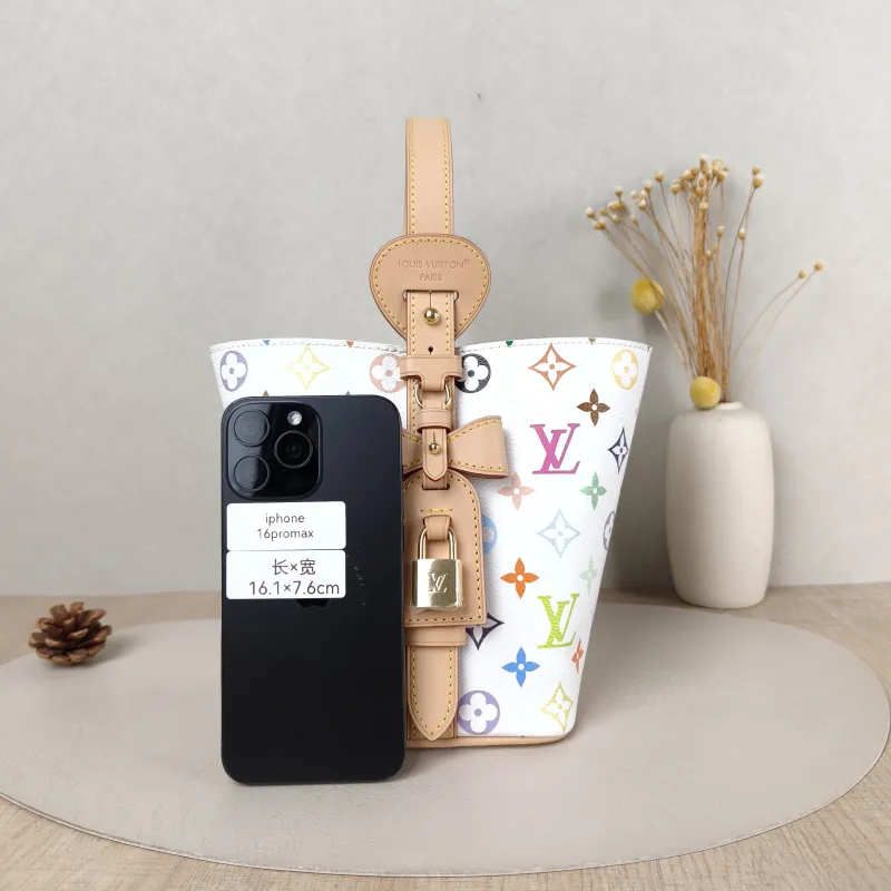 Louis Vuitton Top Handle Bag ALL IN BB Multicolore PVC BB 16 × 12 × 18 cm — cover view 5 of 6