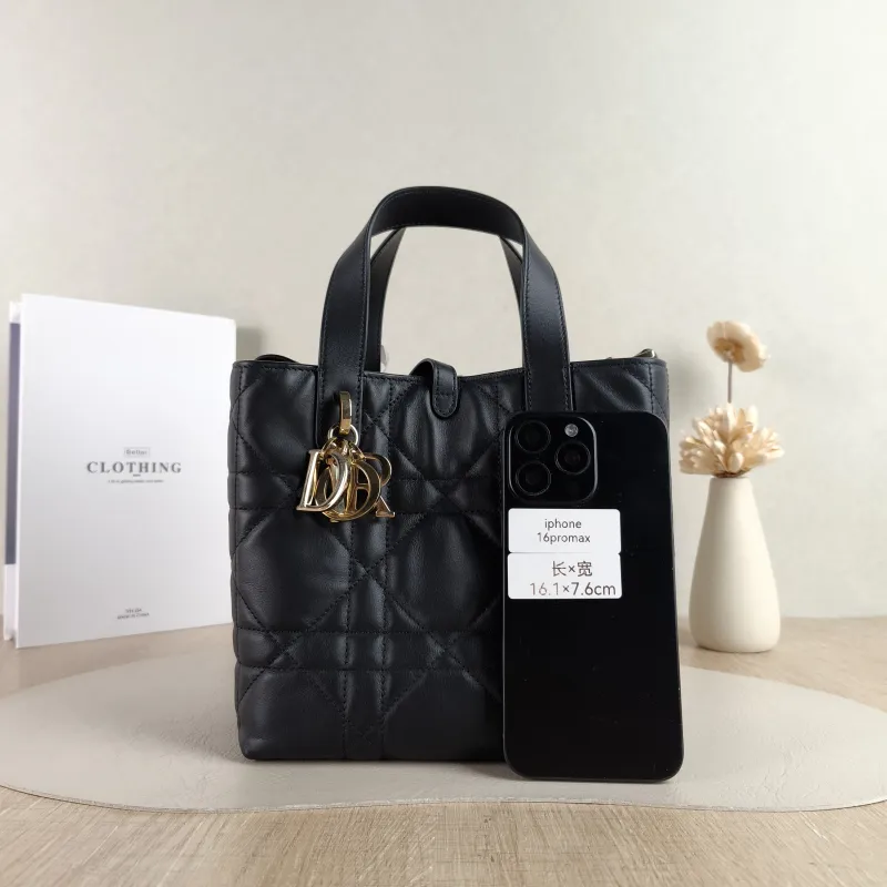 DIOR Shoulder Bag TOUJOURS Edition Black Calfskin Small 18.5 × 12 × 18.5 cm — cover view 6 of 6