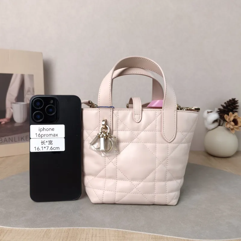 DIOR Top Handle Bag TOUJOURS Edition Pink Calfskin Mini 13 × 12 × 15 cm — cover view 5 of 5