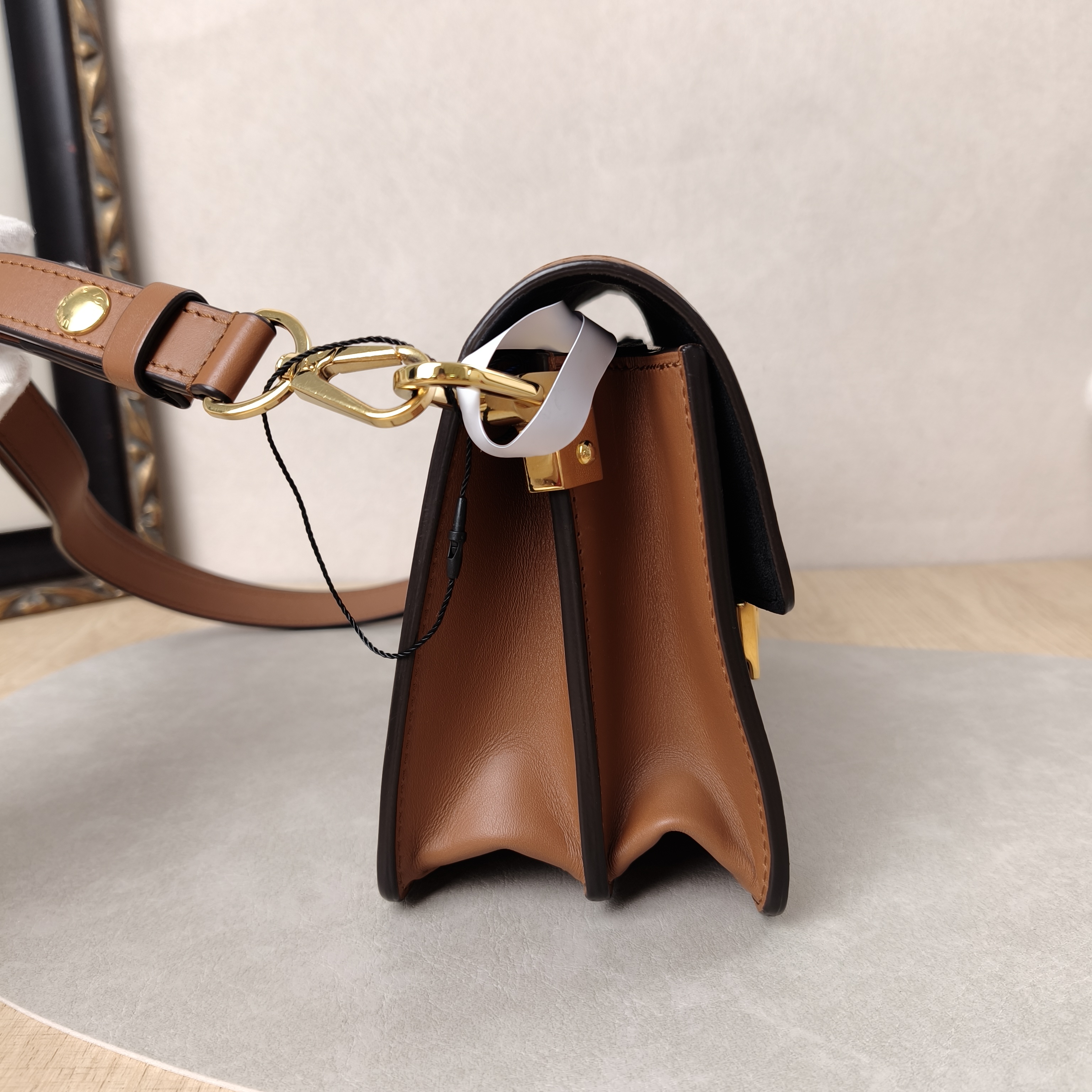 Louis Vuitton Crossbody Bag Dauphine Monogram PV Cmini20 × 9 × 15 cm — cover view 6 of 10