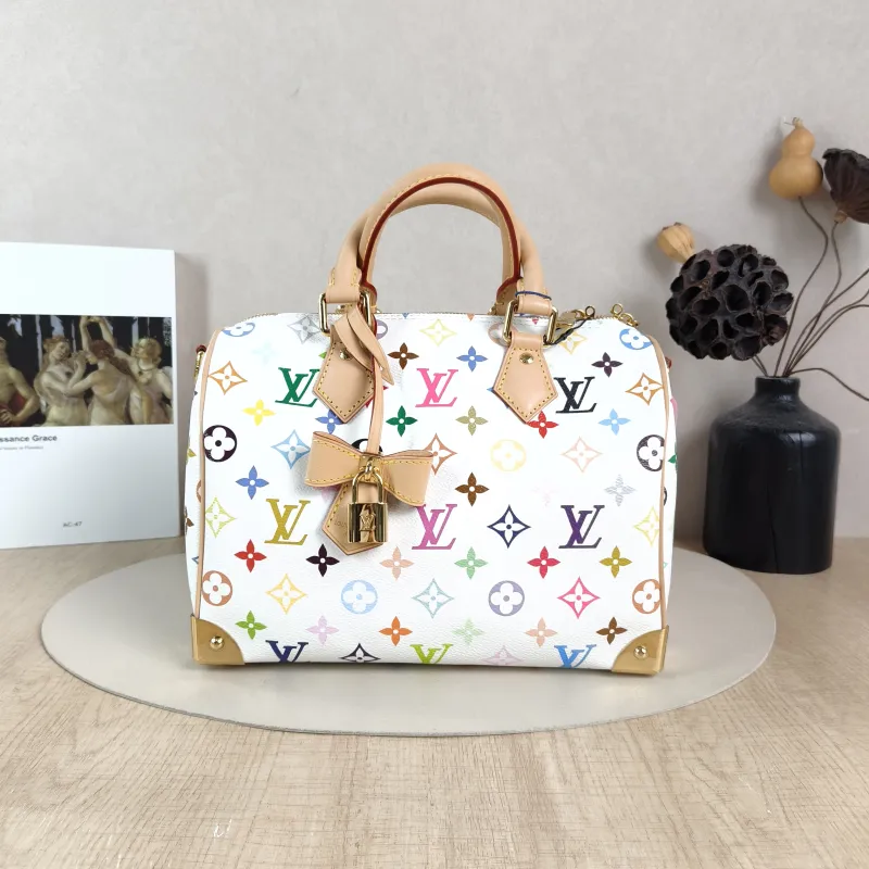 Louis Vuitton Crossbody Bag Speedy25 Multicolore PVC Medium 25 × 15 × 19 cm