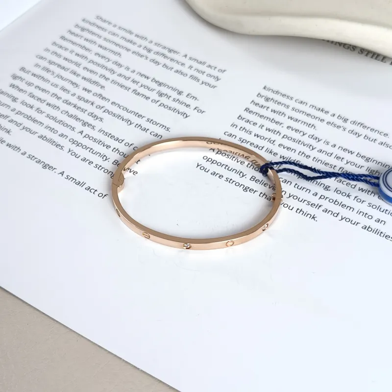 CARTIER Bangle Love Rose Gold 18KR ose Gold3.6 Small Edition16