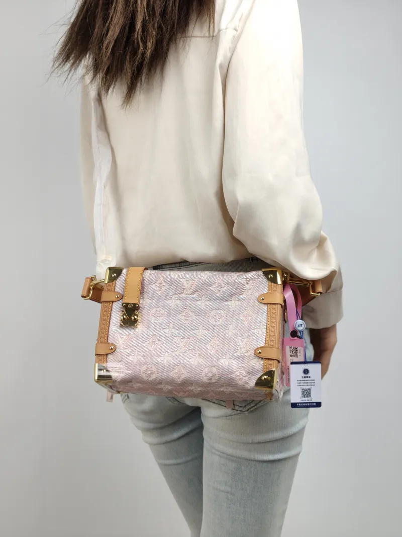 Louis Vuitton Crossbody Bag Side Trunk Box PVC Medium 23.5 × 8.5 × 16 cm — on-model view 2 of 2