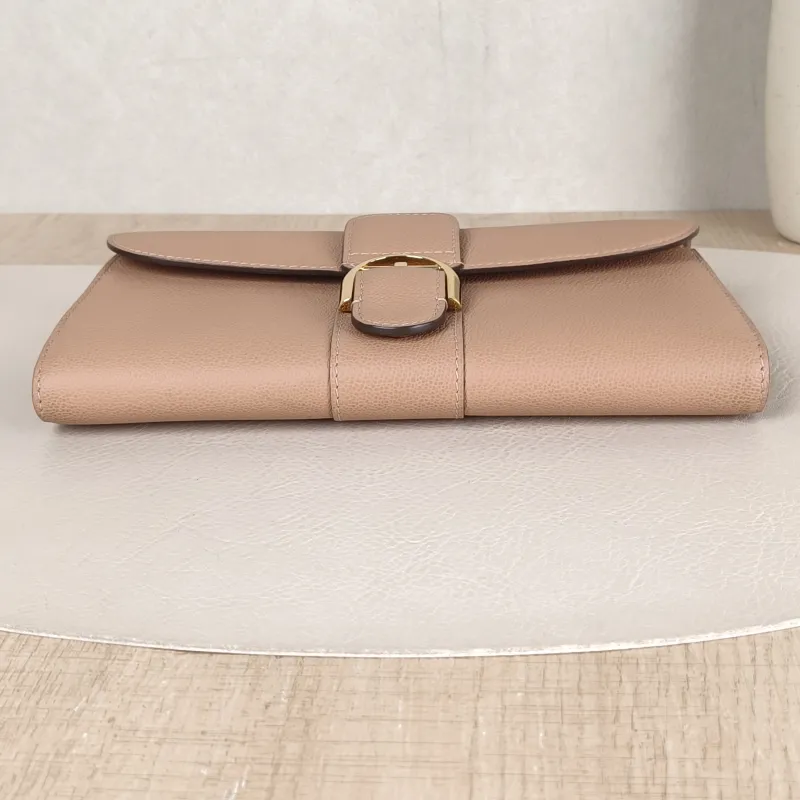 DELVAUX Crossbody Bag Brillant Long Wallet Chain woc Brown Calfskin Mini 21 × 3 × 12 cm — cover view 2 of 5