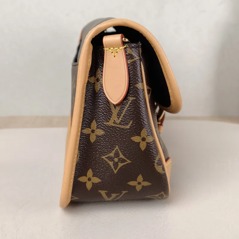 Louis Vuitton Crossbody Bag Diane Baguette Bag Shoulder Strap PVC Small 24 × 9 × 15 cm — detail view 14 of 14