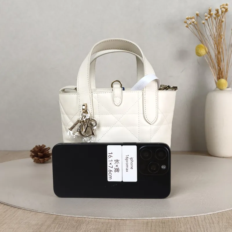 DIOR Top Handle Bag TOUJOURS Edition White Gold Calfskin Mini 13 × 12 × 15 cm — cover view 5 of 5