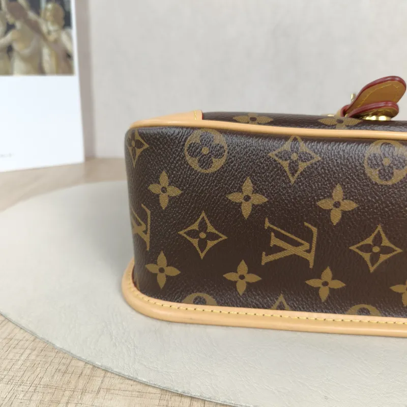 Louis Vuitton Crossbody Bag Diane Baguette Bag Shoulder Strap PVC Small 24 × 9 × 15 cm — detail view 5 of 13